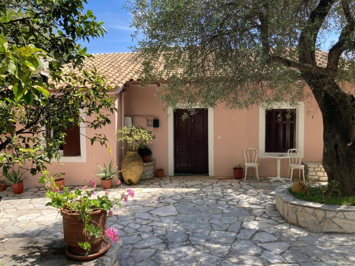 Aliki's Comfortable Holiday Apartments-great Location *