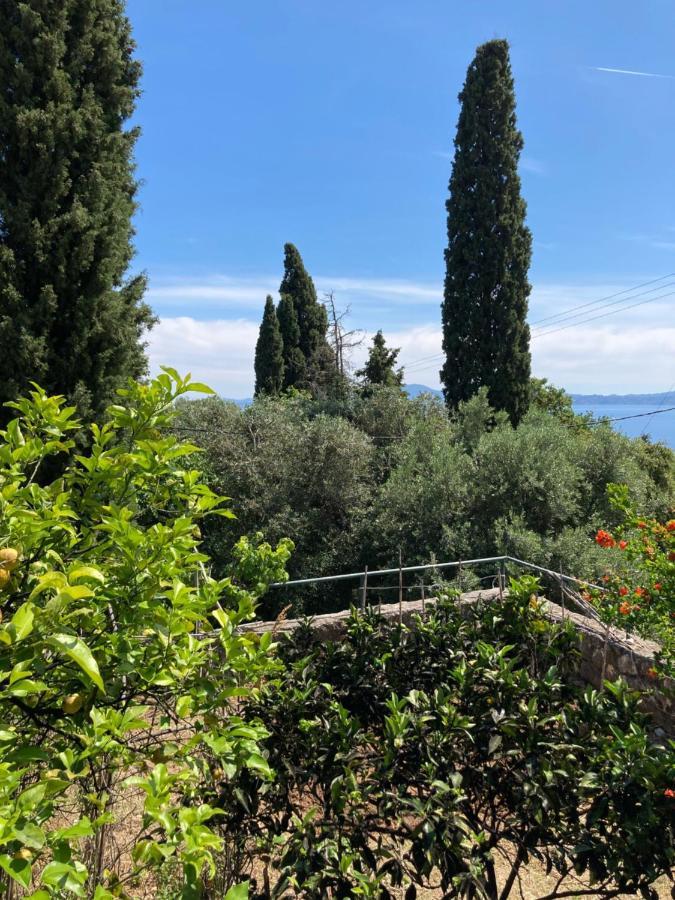 Appartement Aliki's Comfortable Holiday Apartments-great Location *