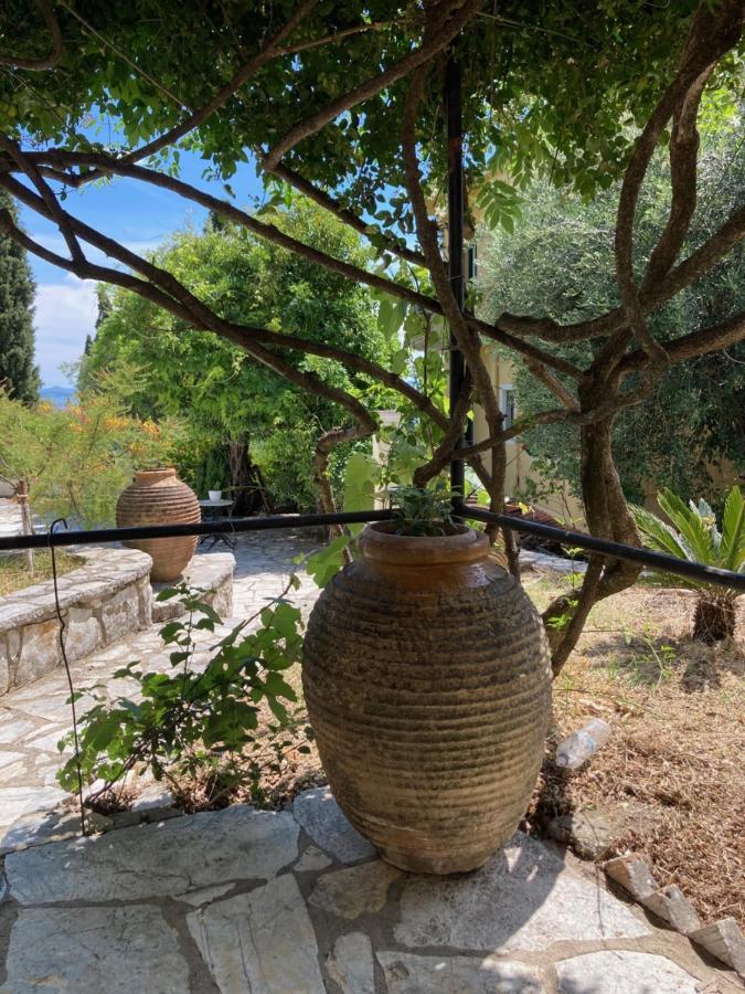 Aliki's Comfortable Holiday Apartments-great Location Appartement Nisaki (Corfu)