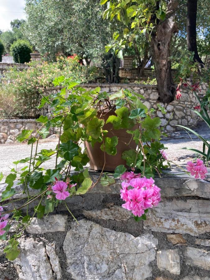 Aliki's Comfortable Holiday Apartments-great Location Appartement *