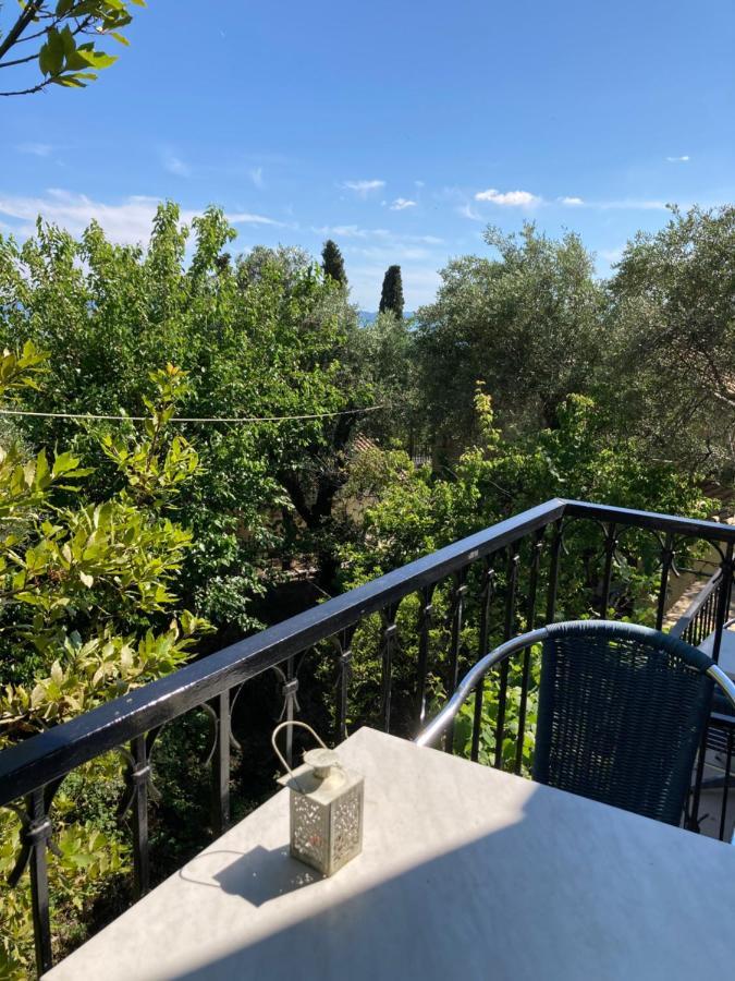 Aliki's Comfortable Holiday Apartments-great Location Nisaki (Corfu)