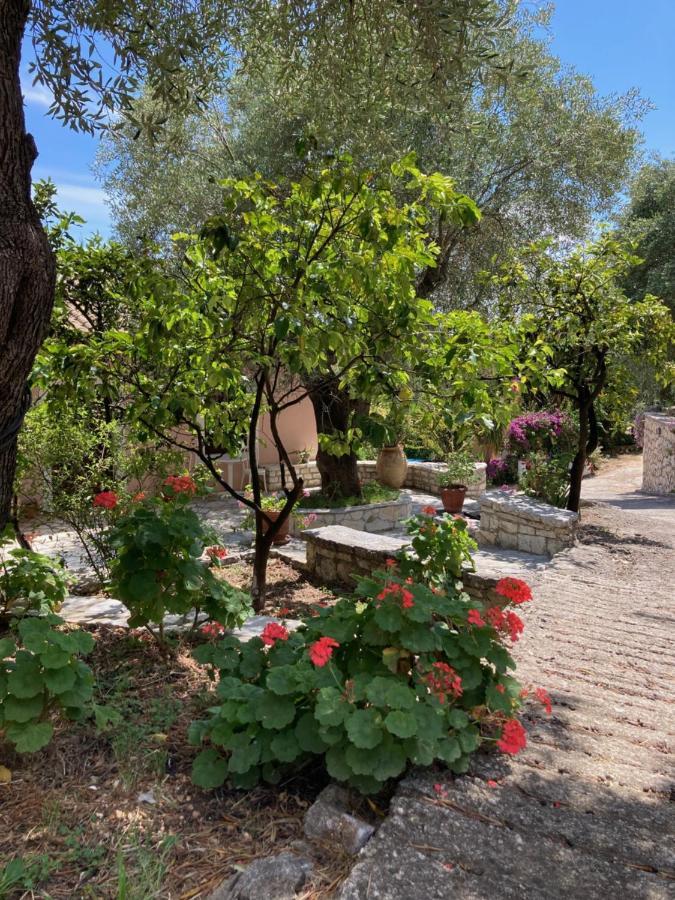 Appartement Aliki's Comfortable Holiday Apartments-great Location Nisaki (Corfu)