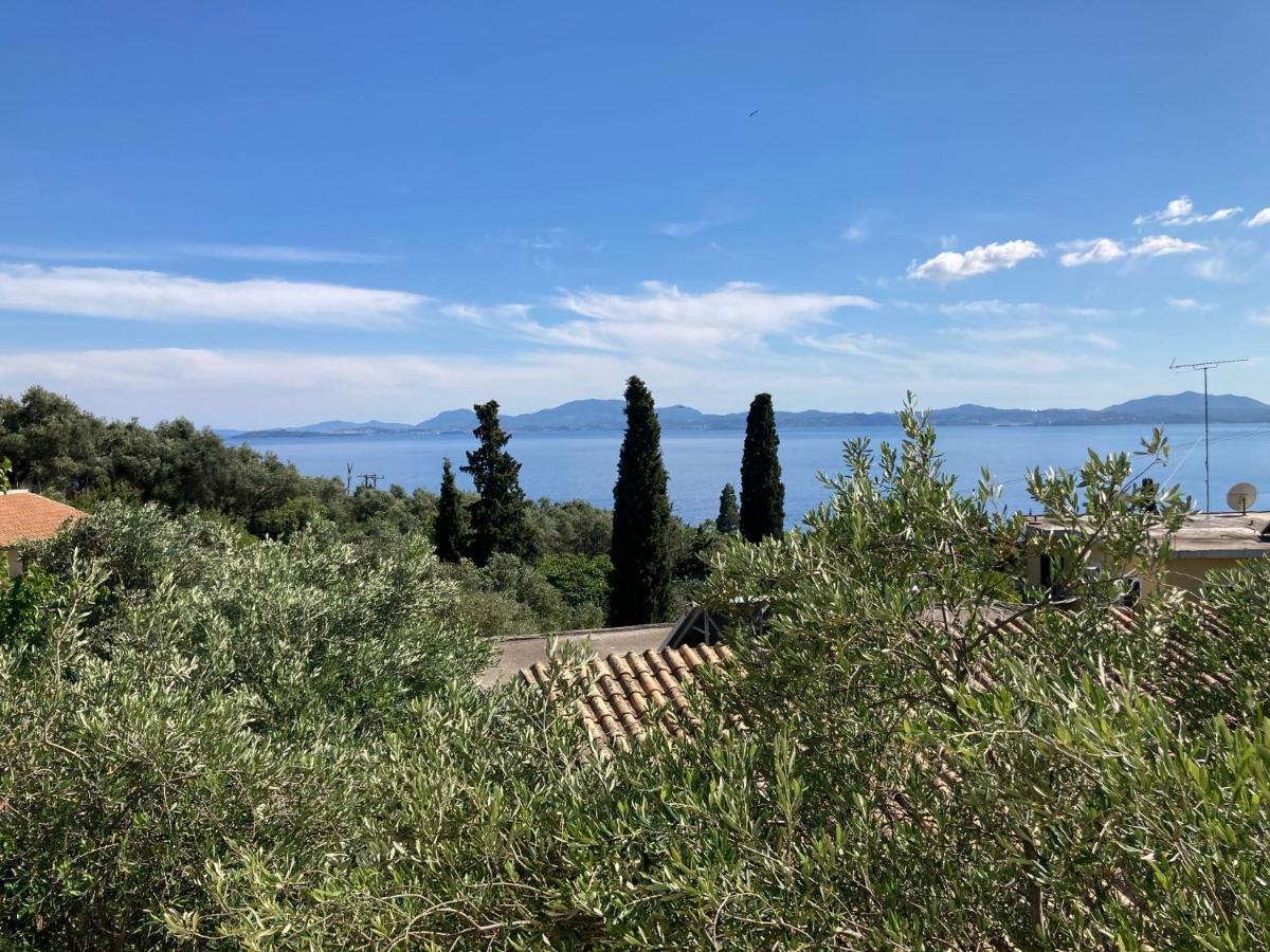 Aliki's Comfortable Holiday Apartments-great Location Appartement