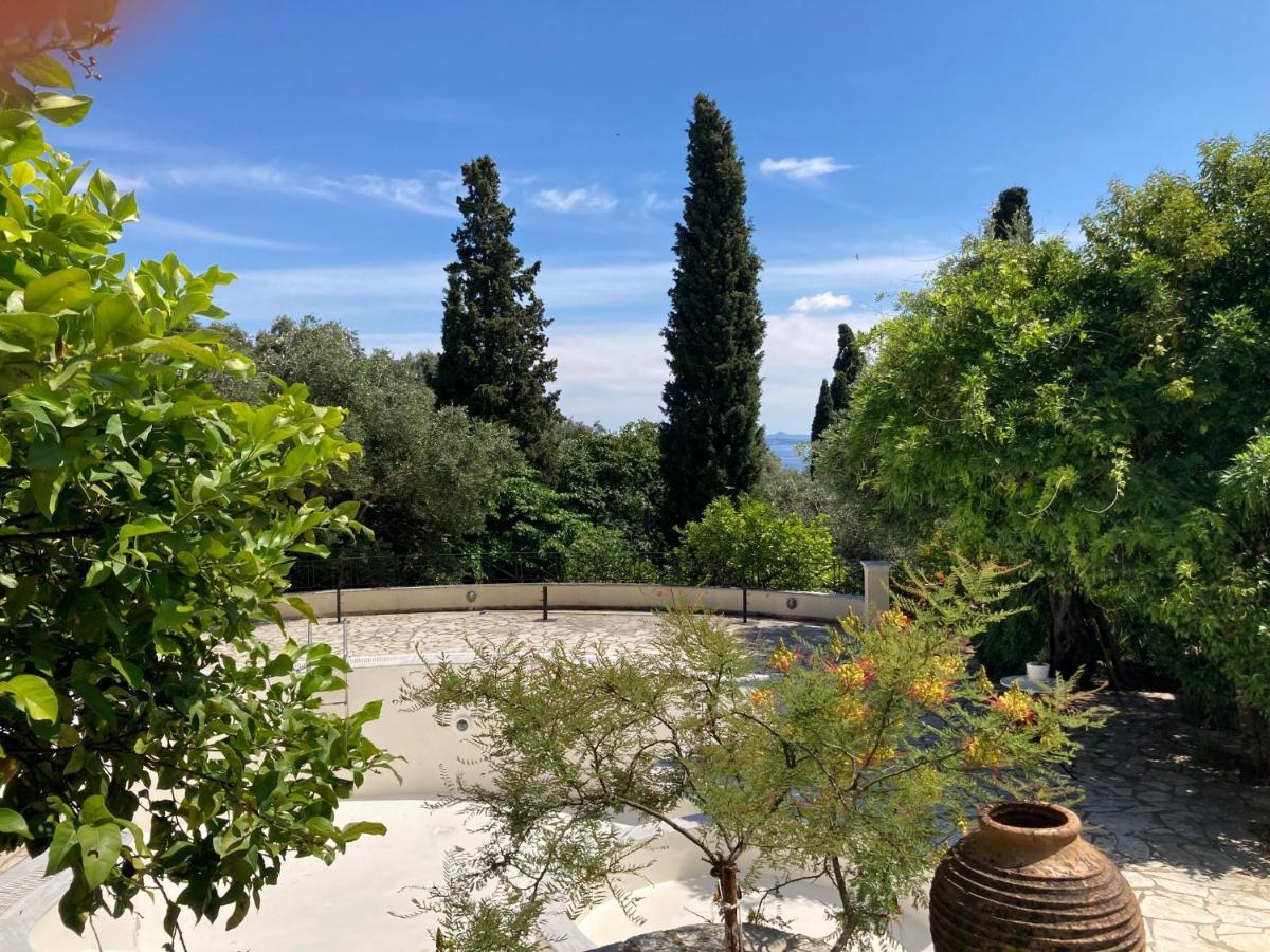 Appartement Aliki's Comfortable Holiday Apartments-great Location Nisaki (Corfu)